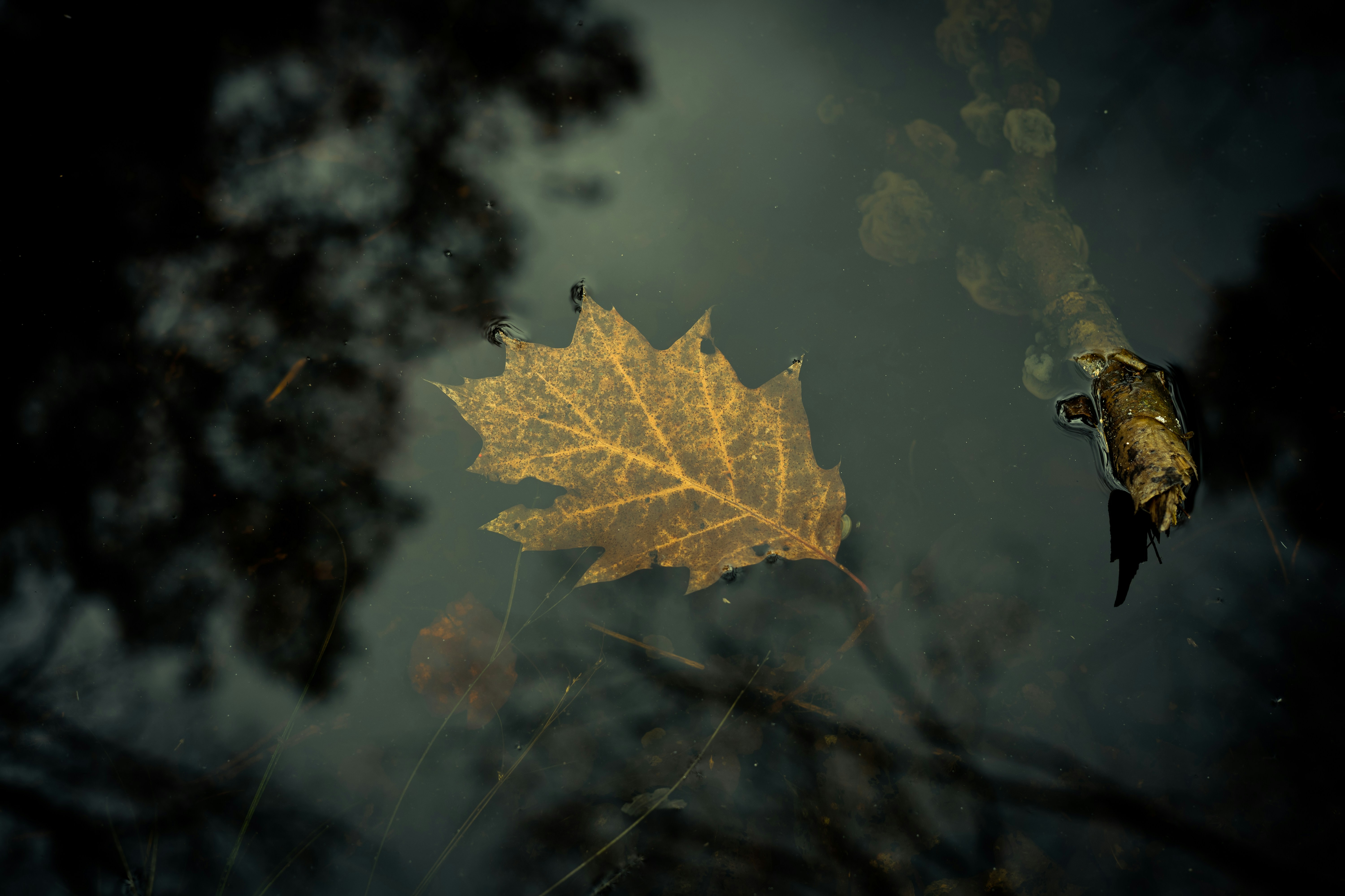 The power of silence: Understanding ourselves through the stillness