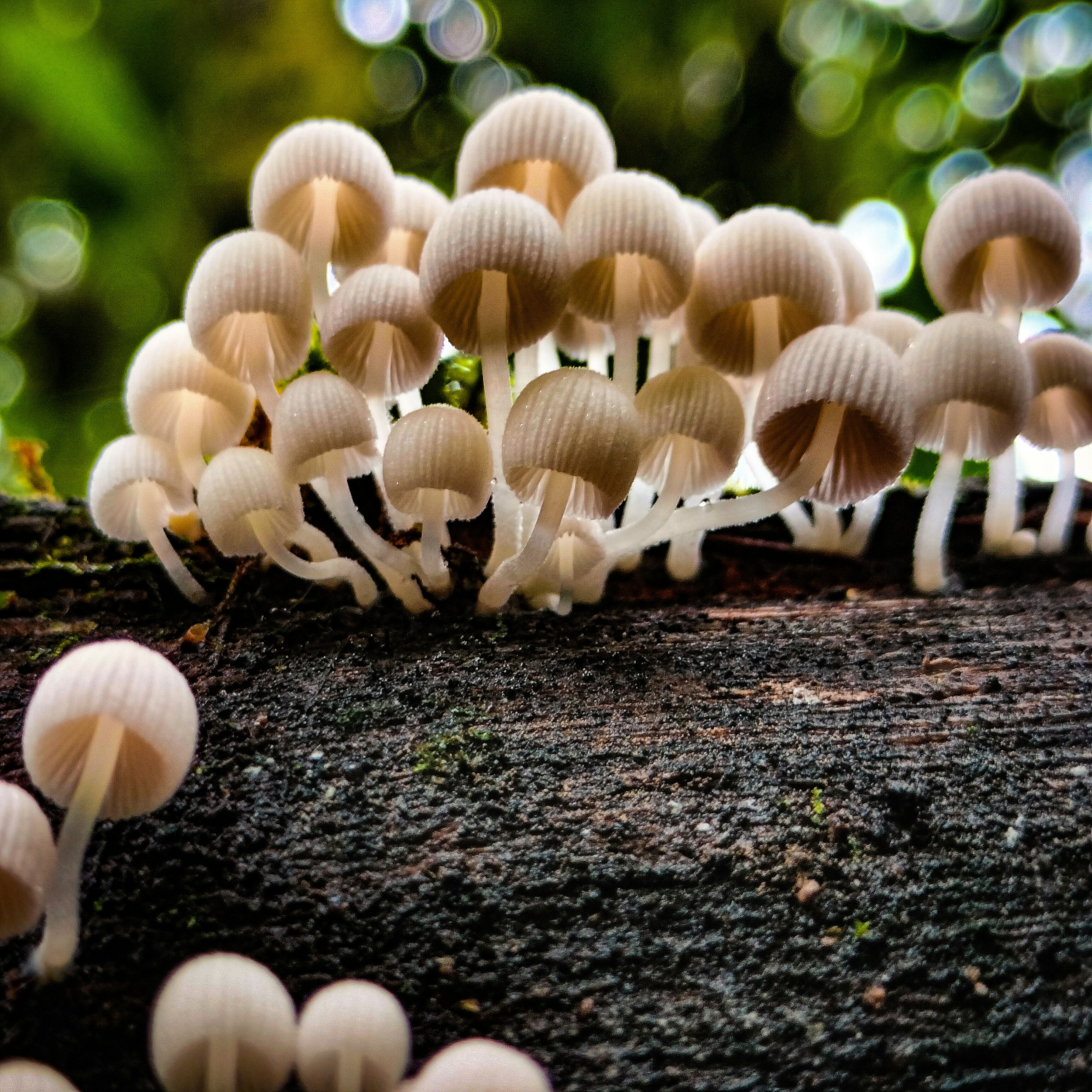 Finding Refuge: A Ritual for Receiving Reassurance from Nature