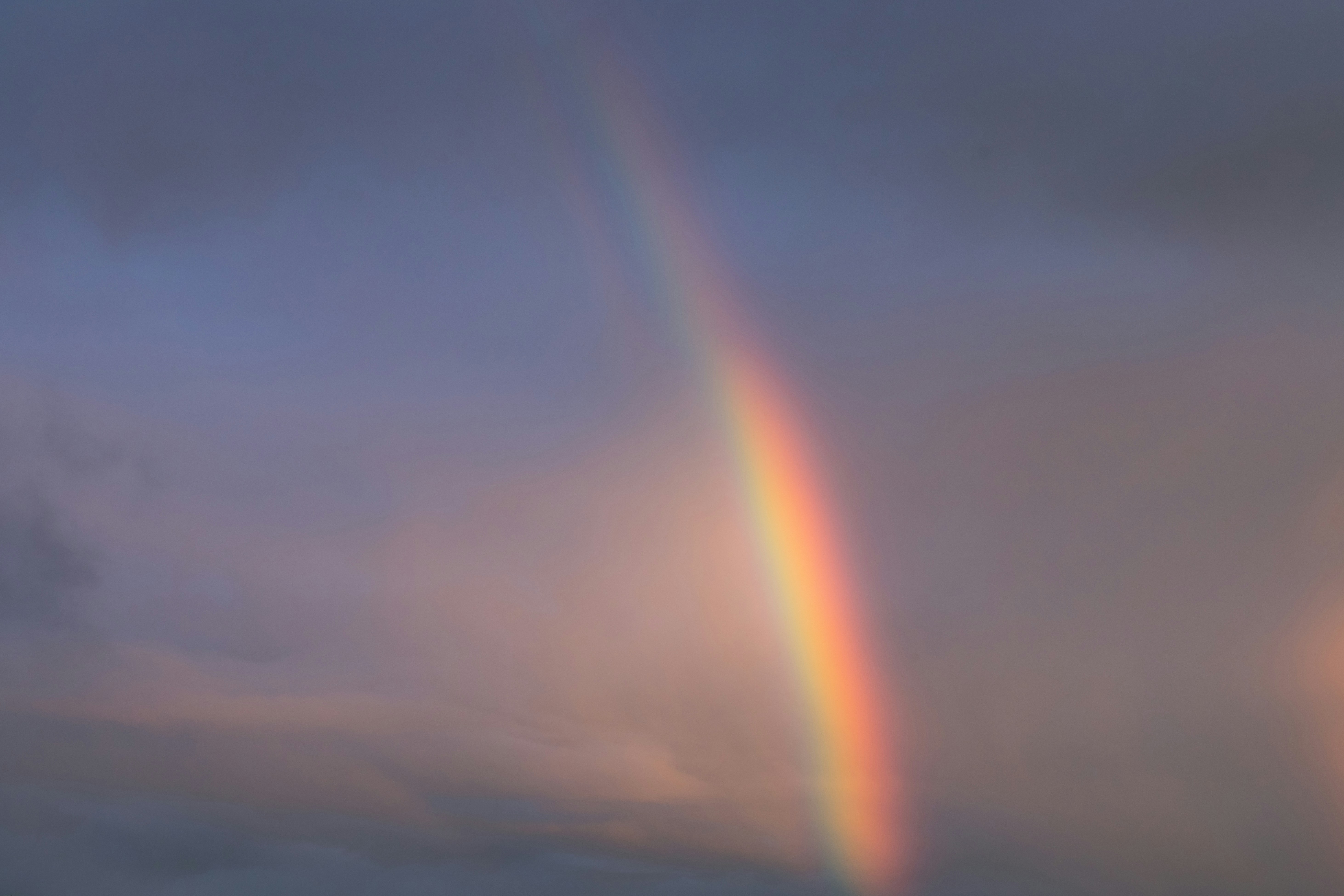 Finding Hope in the Midst of Chaos: Lessons from the Walk for Peace Monks