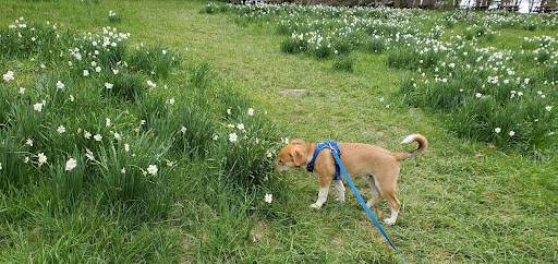 Tapping into the Power of Nature's Energy: How to Harness It for Growth and Renewal