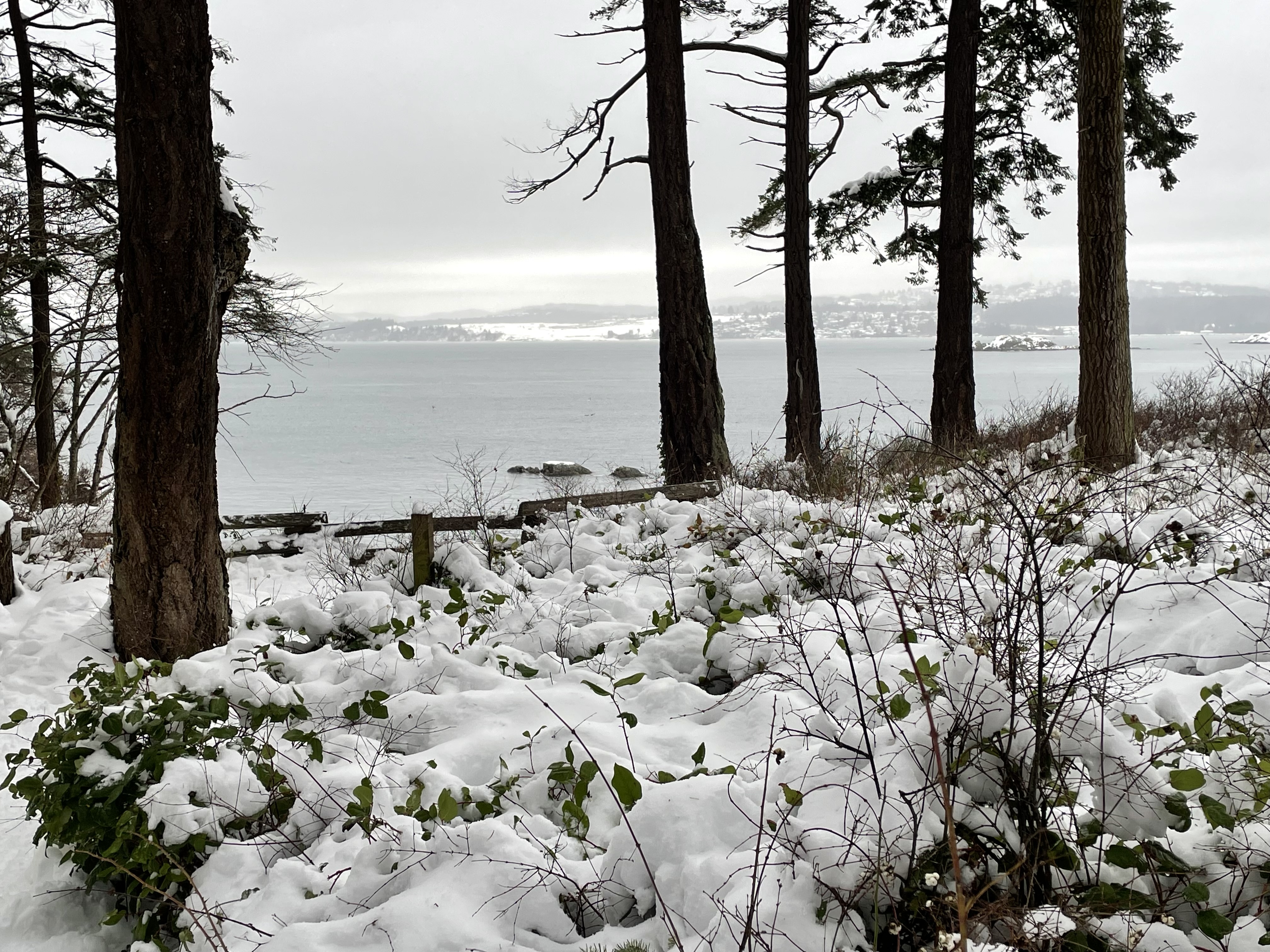 Happier in the Cold: Why Some of Us Thrive in Fall and Winter